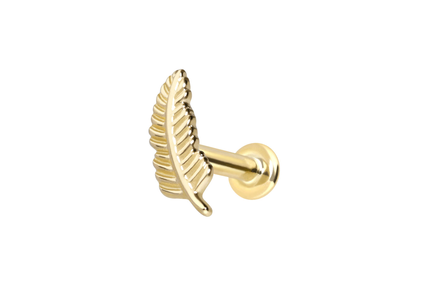 14 Karat Gold Labret Piercing mit Innengewinde FEDER